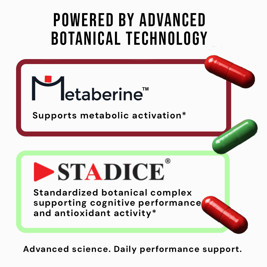 Zyro Life Metab Initiate Stack – Metaberine™ + Stadice™ Formula for Energy, Focus & Metabolic Balance
