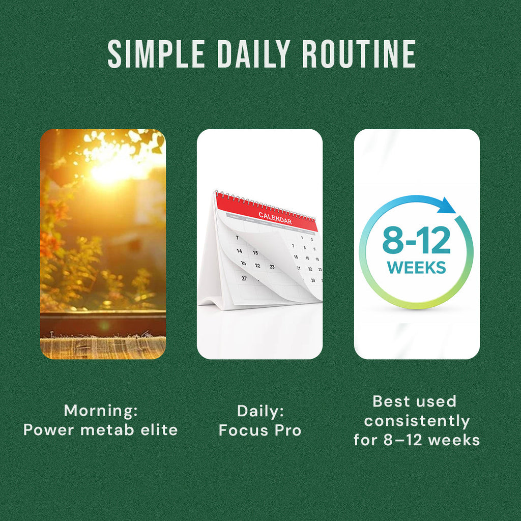 Zyro Life Metab Initiate Stack – Metaberine™ + Stadice™ Formula for Energy, Focus & Metabolic Balance